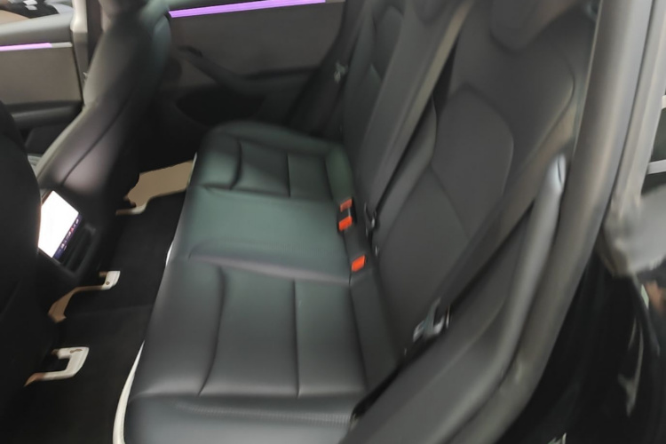Tesla Model 3 2024 car image #17