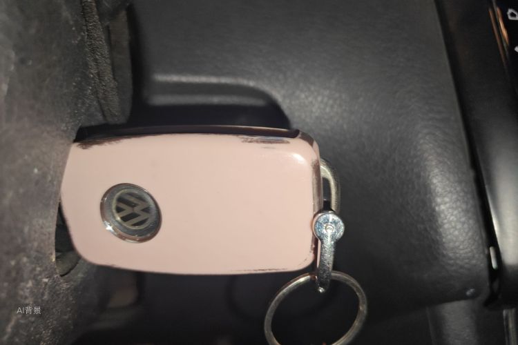 Volkswagen Polo 2017 car image #10