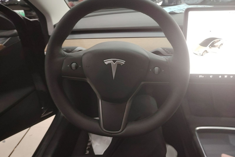 Tesla Model 3 2021 #11 Tesla Model 3 2021 car image #11