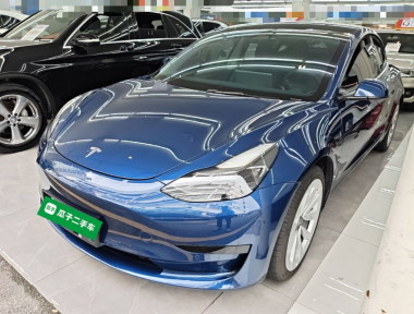 Tesla Model 3 2021 car image 