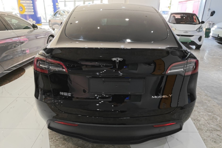 Tesla Model Y 2023 #6 Tesla Model Y 2023 car image #6