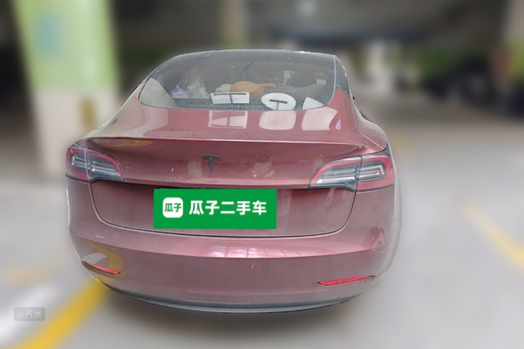 Tesla Model 3 2021 car image #6