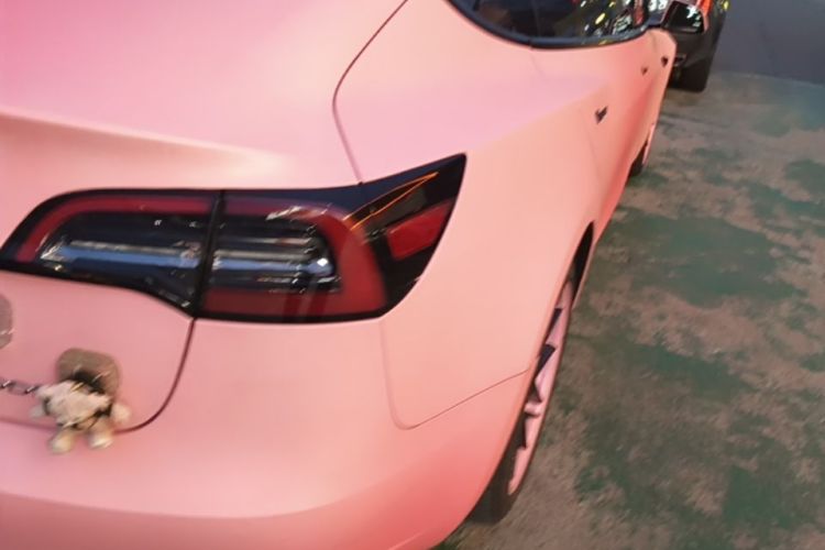 Tesla Model 3 2022 car image #8