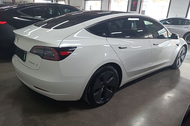 Tesla Model 3 2021 car image #6