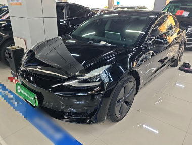 Tesla Model 3 2020 Tesla Model 3 2020 car image