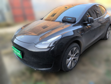 Tesla Model Y 2023 Tesla Model Y 2023 car image