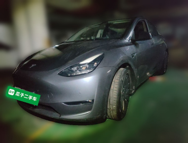 Tesla Model Y 2021 Tesla Model Y 2021 car image
