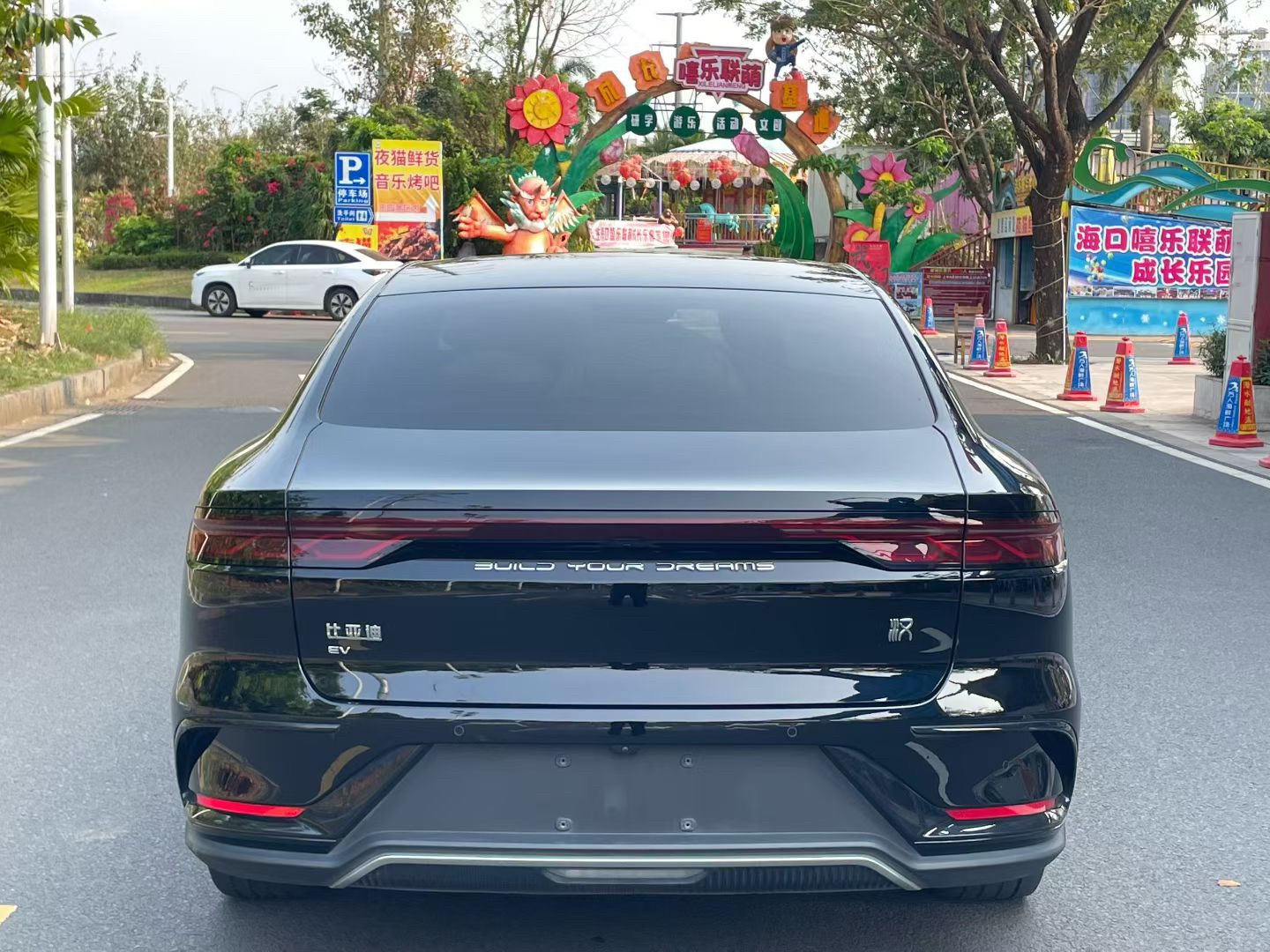 比亚迪 汉 2024 汽车图片 #8