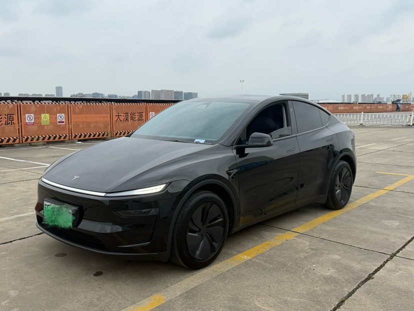 Tesla Model Y 2025 car image 