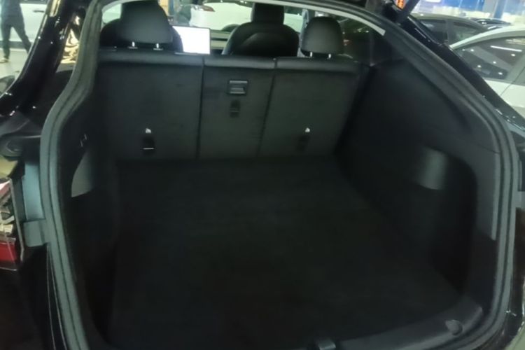Tesla Model Y 2021 car image #19