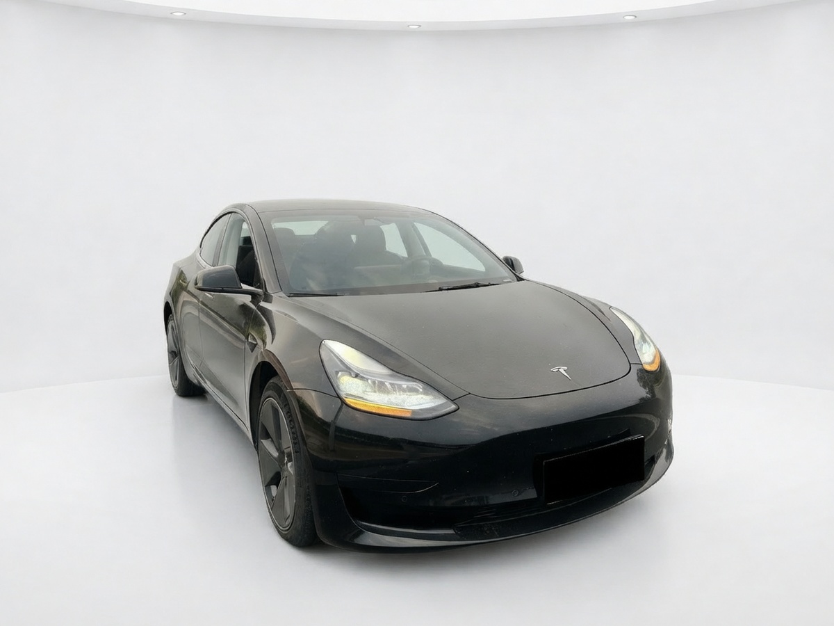 Tesla Model 3 2023 #3 Tesla Model 3 2023 car image #3