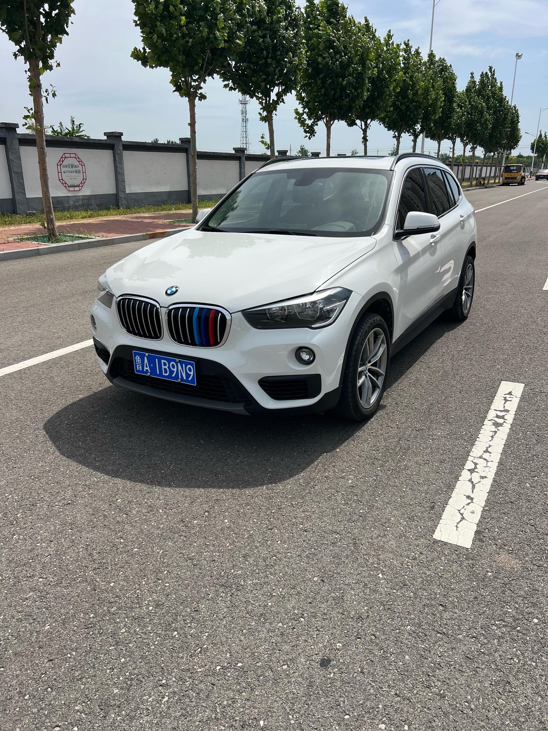 BMW X1 2017 imagen de coche 