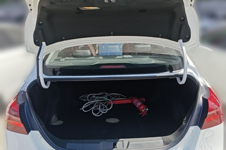 GEELY Emgrand New Energy 2018 car image #21