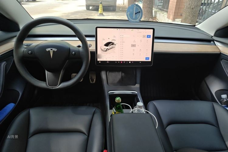 Tesla Model 3 2022 car image #11