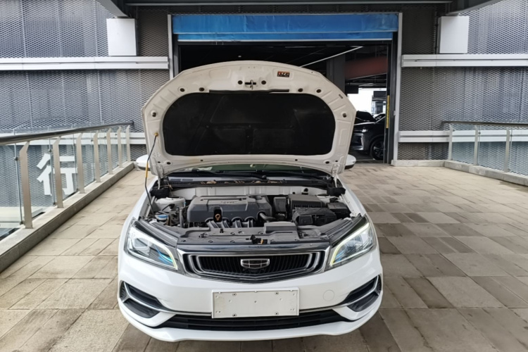 GEELY Emgrand 2020 car image #20