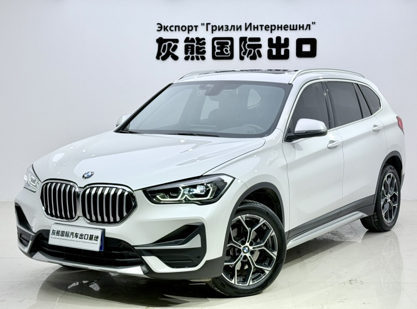 BMW X1 2023 imagen de coche 