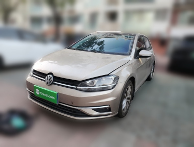 Volkswagen Golf 2019 Volkswagen Golf 2019 car image