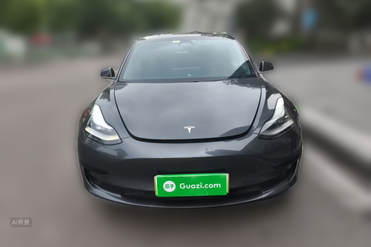 Tesla Model 3 2020 car image #3