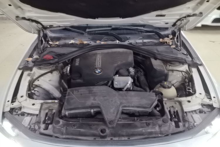 BMW 3 Series 2016 #20 BMW 3 Series 2016 immagine di auto #20