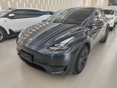 Tesla Model Y 2024 Tesla Model Y 2024 car image