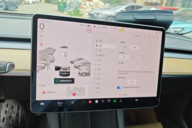 Tesla Model 3 2021 car image #13