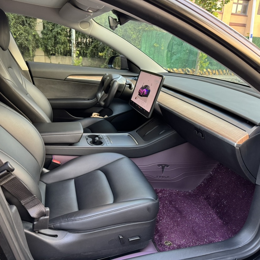 Tesla Model 3 2022 #6 Tesla Model 3 2022 car image #6