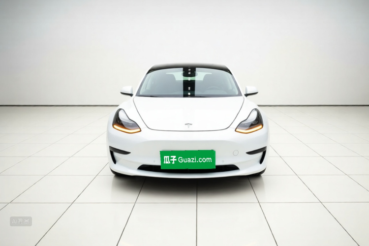 Tesla Model 3 2020 #3 Tesla Model 3 2020 car image #3