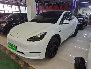 Tesla Model Y 2021 Tesla Model Y 2021 car image