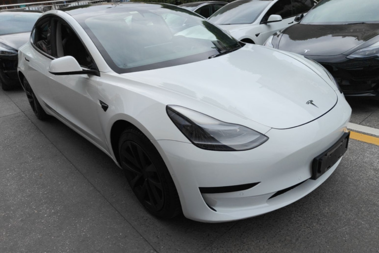 Tesla Model 3 2021 car image #4