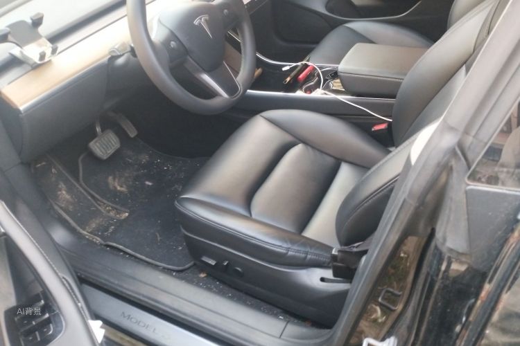 Tesla Model 3 2020 car image #18