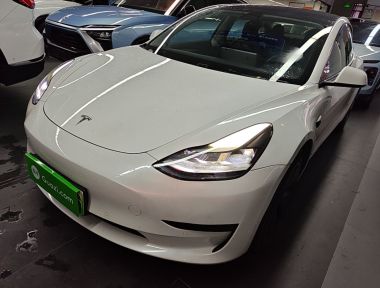 Tesla Model 3 2021 car image 