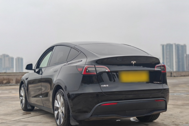 Tesla Model Y 2021 immagine di auto #8