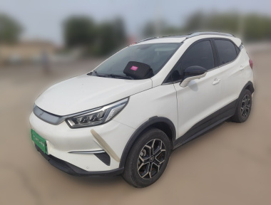 BYD Yuan Pro 2021 BYD Yuan Pro 2021 car image
