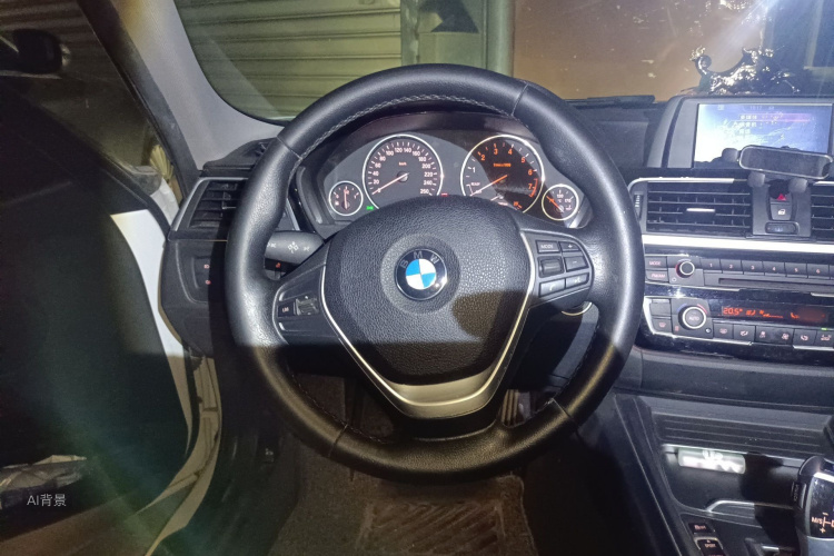 BMW 3 Series 2017 car image #12