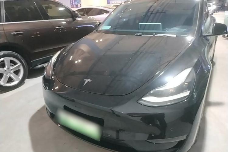 Tesla Model Y 2021 immagine di auto #3