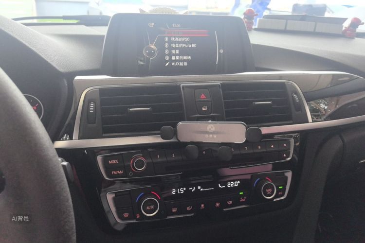 BMW 3 Series 2017 car image #15