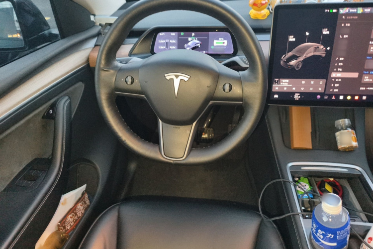 Tesla Model Y 2021 car image #14