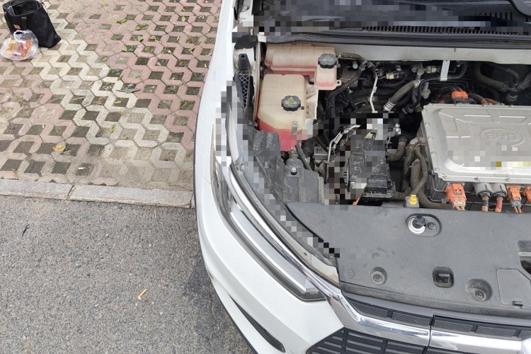BYD Yuan New Energy 2020 car image #22