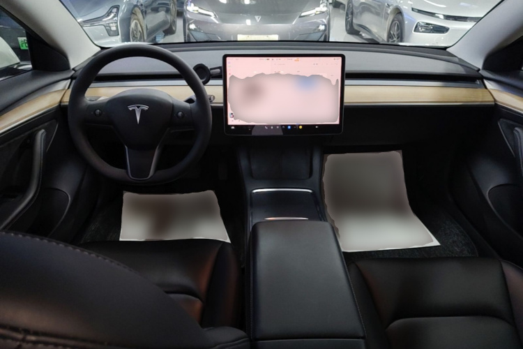 Tesla Model 3 2022 immagine di auto #10