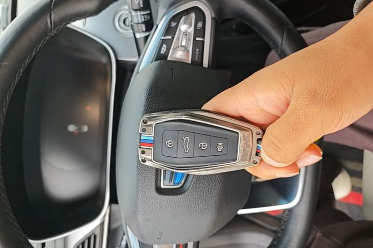 GEELY Binray 2019 #9 GEELY Binray 2019 immagine di auto #9