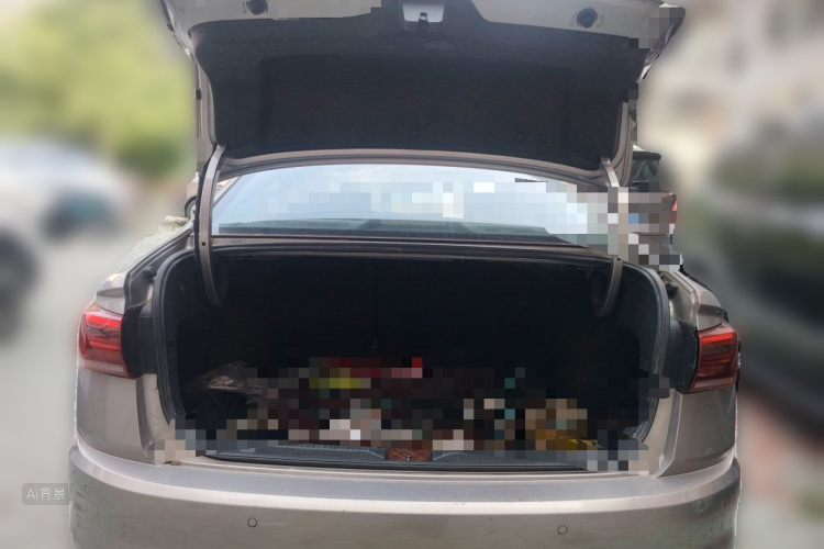 Volkswagen Bora 2019 #21 Volkswagen Bora 2019 car image #21