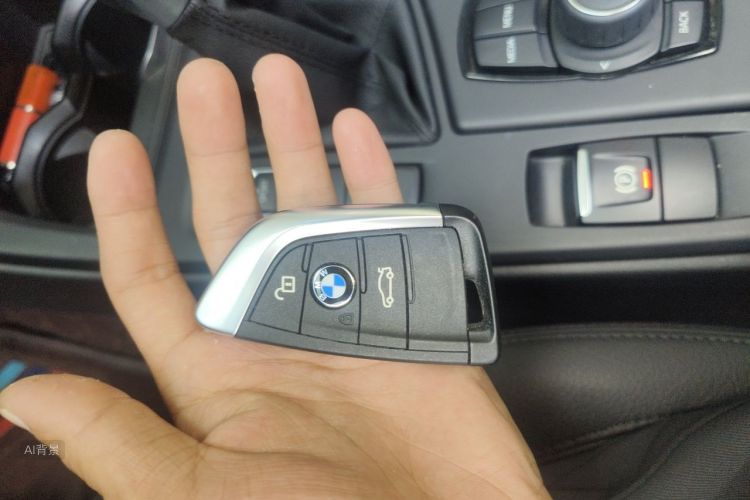 BMW X1 2019 car image #10