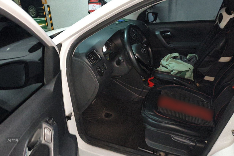 Volkswagen Polo 2016 car image #18