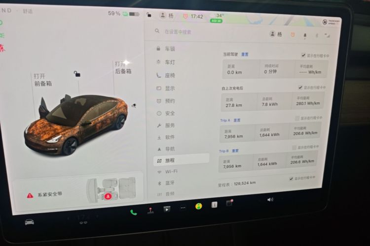 Tesla Model 3 2021 car image #16