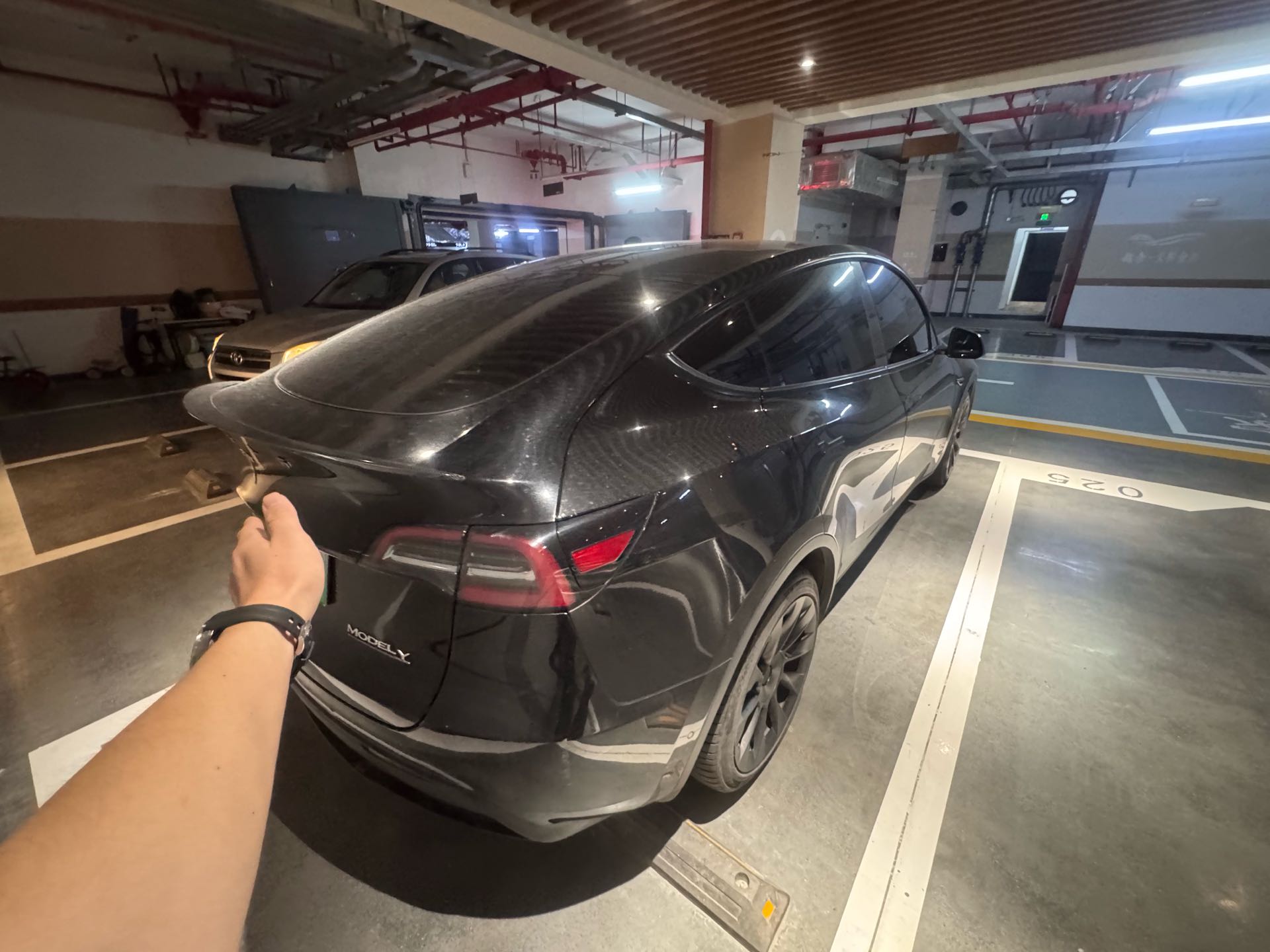 Tesla Model Y 2021 car image #4