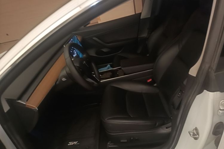Tesla Model 3 2020 car image #15