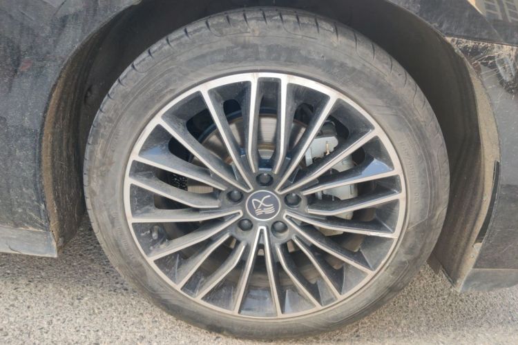 BYD Han 2024 car image #9