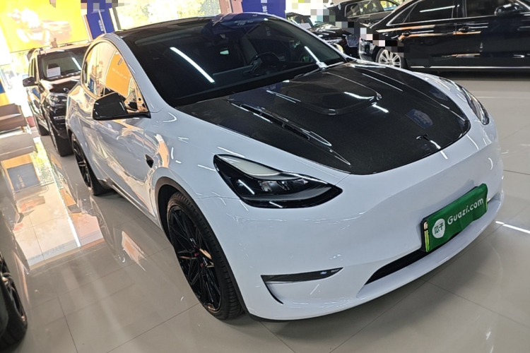 Tesla Model Y 2021 car image #4
