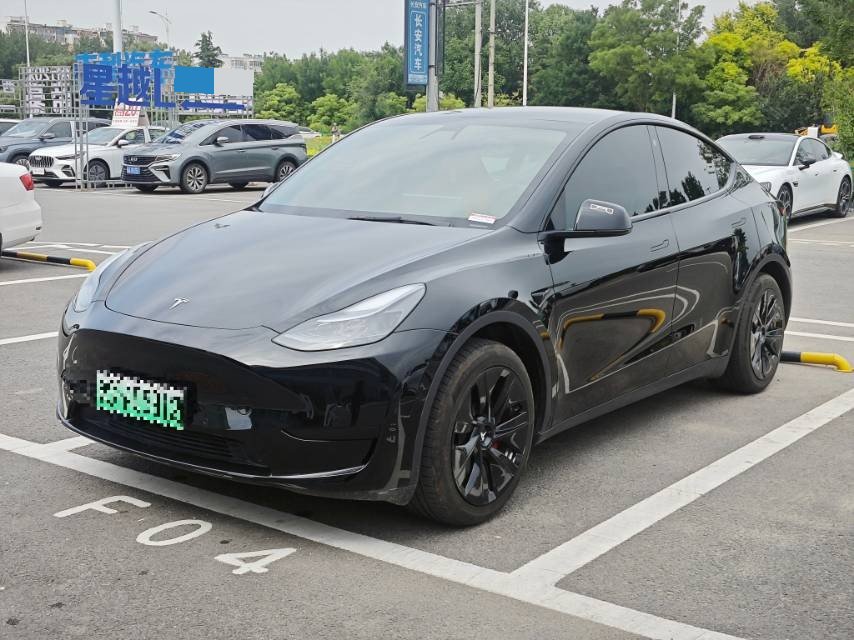 Tesla Model Y 2023 car image 