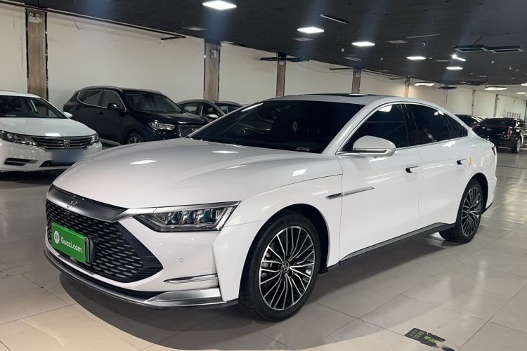 BYD Han 2021 immagine di auto #2